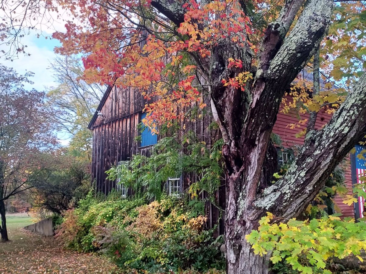 The Elements of&nbsp;Fall
